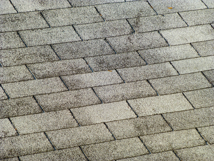 3 tab shingle dmv pro contractors