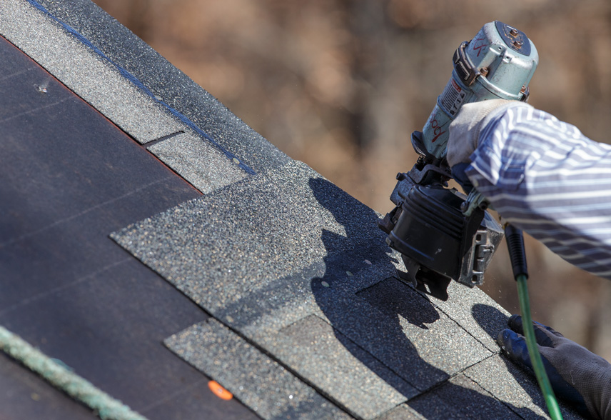 starter shingles dmv pro contractors