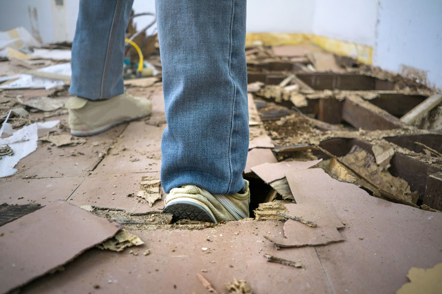 termite damages dmv pro contractors